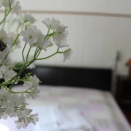 Bed & Breakfast La Valle Del Cristallo