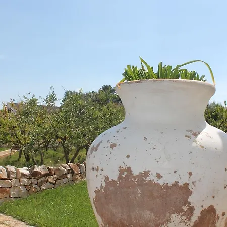 Bed & Breakfast La Valle Del Cristallo